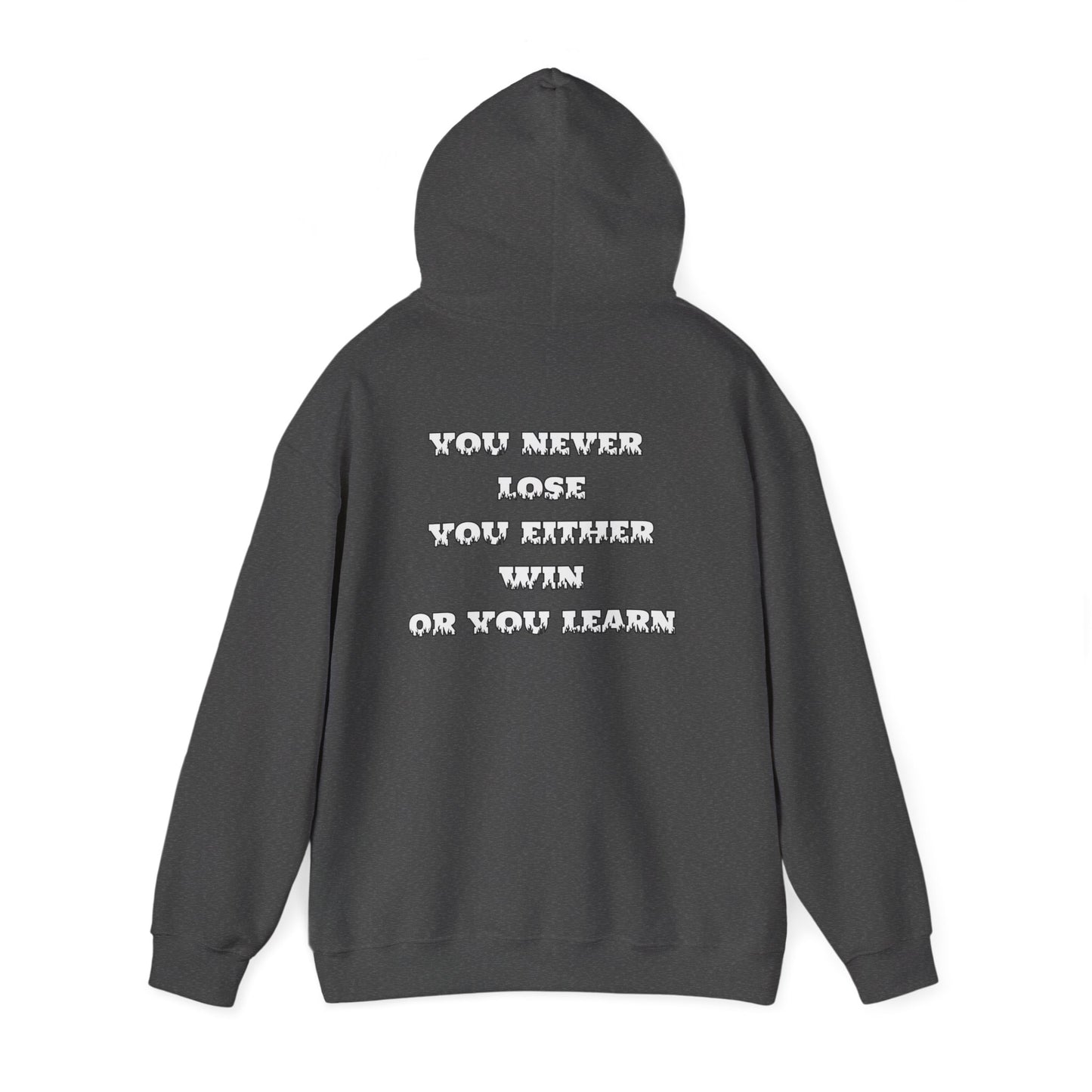 Raptor Darts Hooded Sweatshirt, Unisex Hoodie, Sports Gear, Gift for Dart Lovers, Casual Wear, Functional Fashion