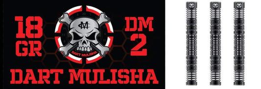 DM2 version 3 soft tip dart