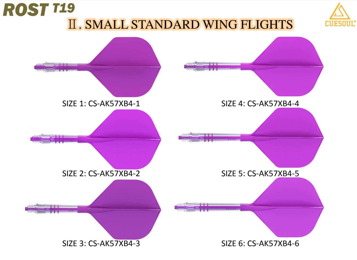 Rost T19 Carbon Integrated Standard Purple
