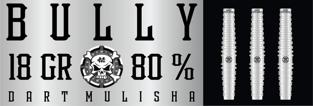 Bully 80% Tungsten soft tip dart