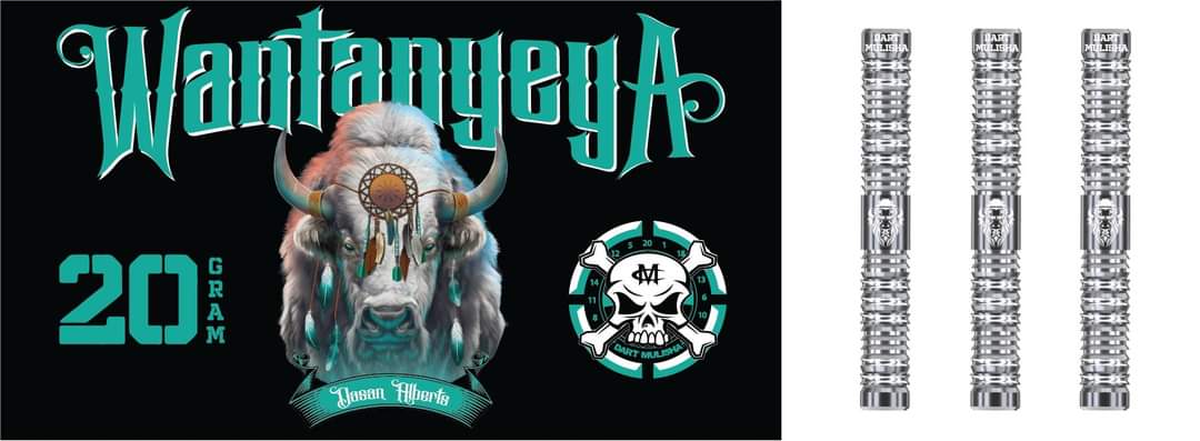 Dasan Alberts WantanyeyA soft tip dart sets