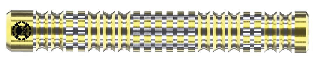 DM 10 soft tip dart set