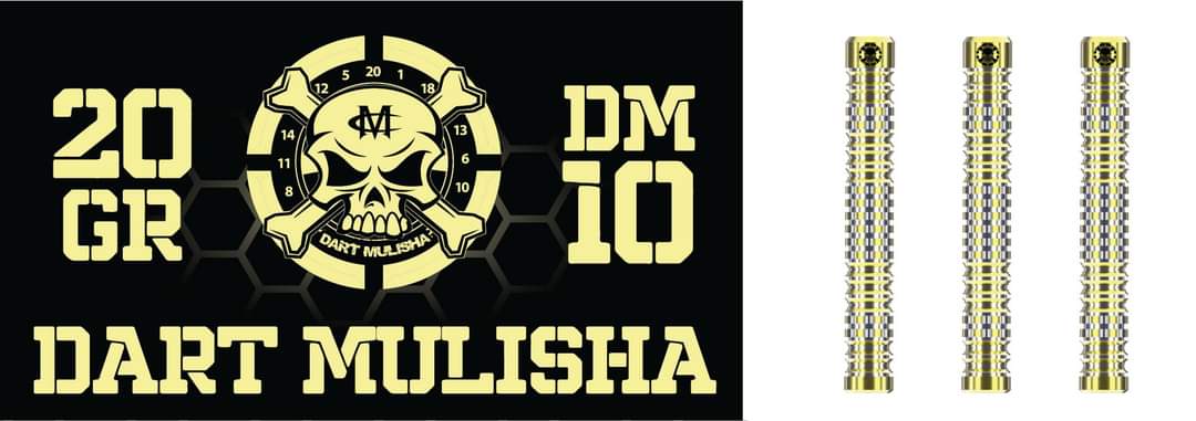 DM 10 soft tip dart set