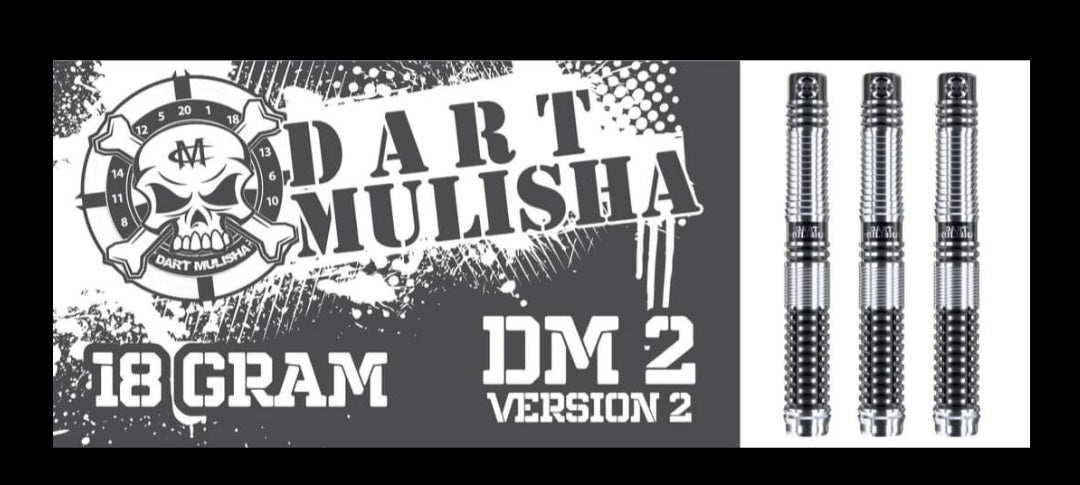 DM2 version 2 18gm dart soft tip