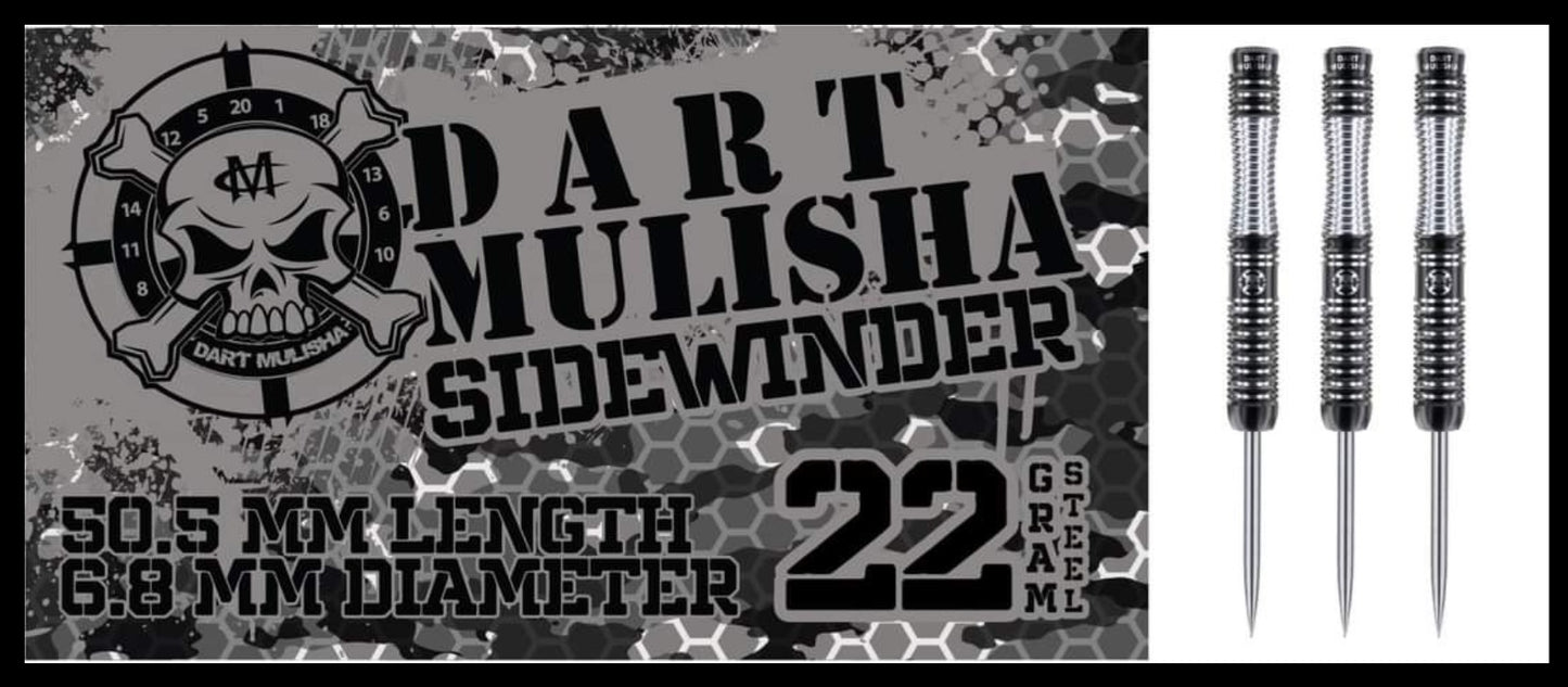 Sidewinder steel tip 22gm dart