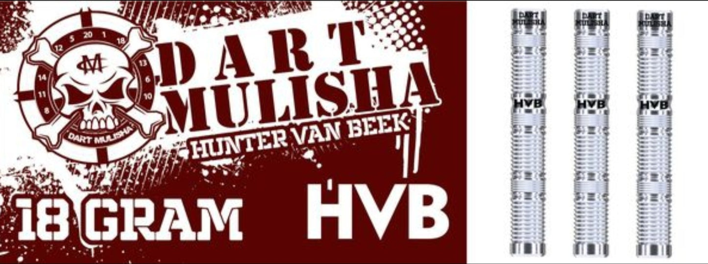 Hunter Van Beek 18g soft tip dart