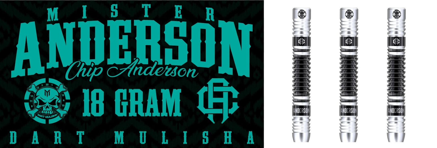 Chip Anderson V4 18g soft tip dart